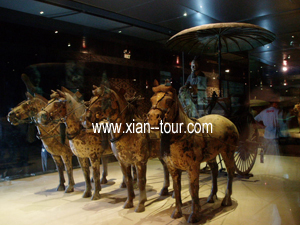 Terracotta Warriors Xian 